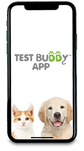 Test Buddy App Smart Phone