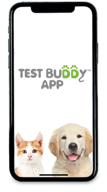 Test Buddy App Smart Phone