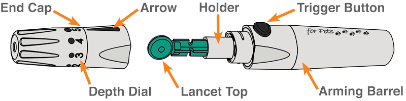 Lancing Device Diagram