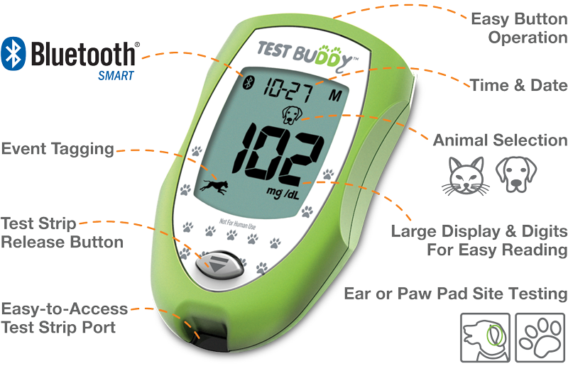 Test Buddy Diagram