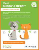 Diabetes In Dogs and Cats